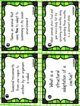 Animal Adaptations Craftivity and Task Cards - Image 3